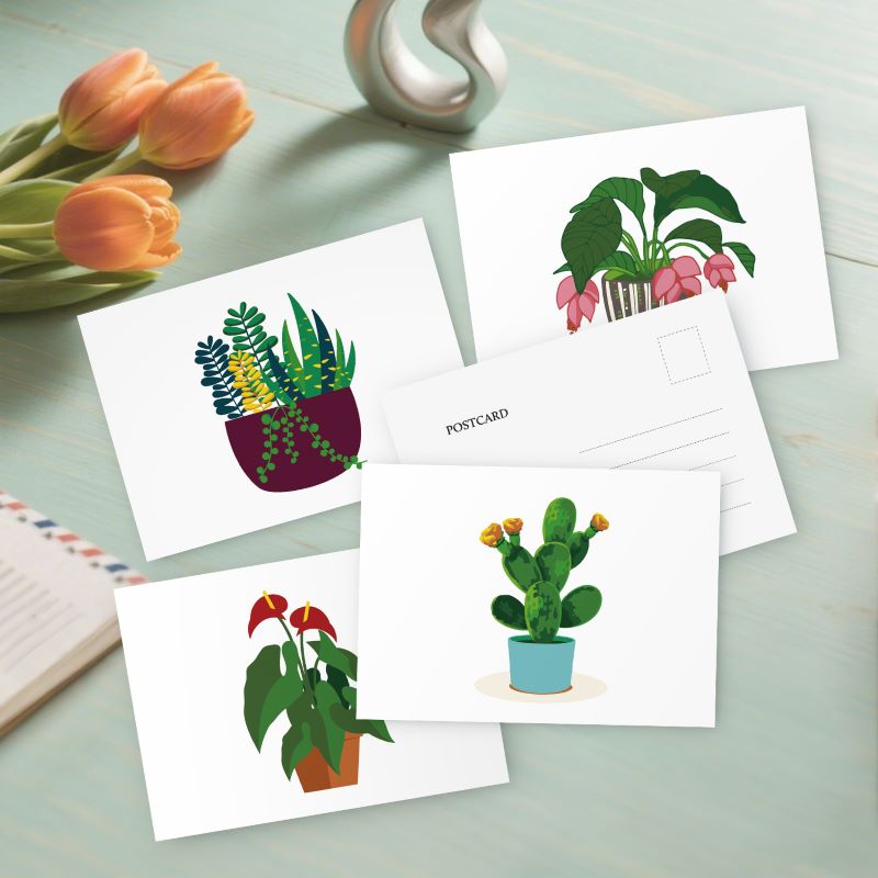 5 Schilderen op Nummer Ansichtkaarten - kamerplanten set
