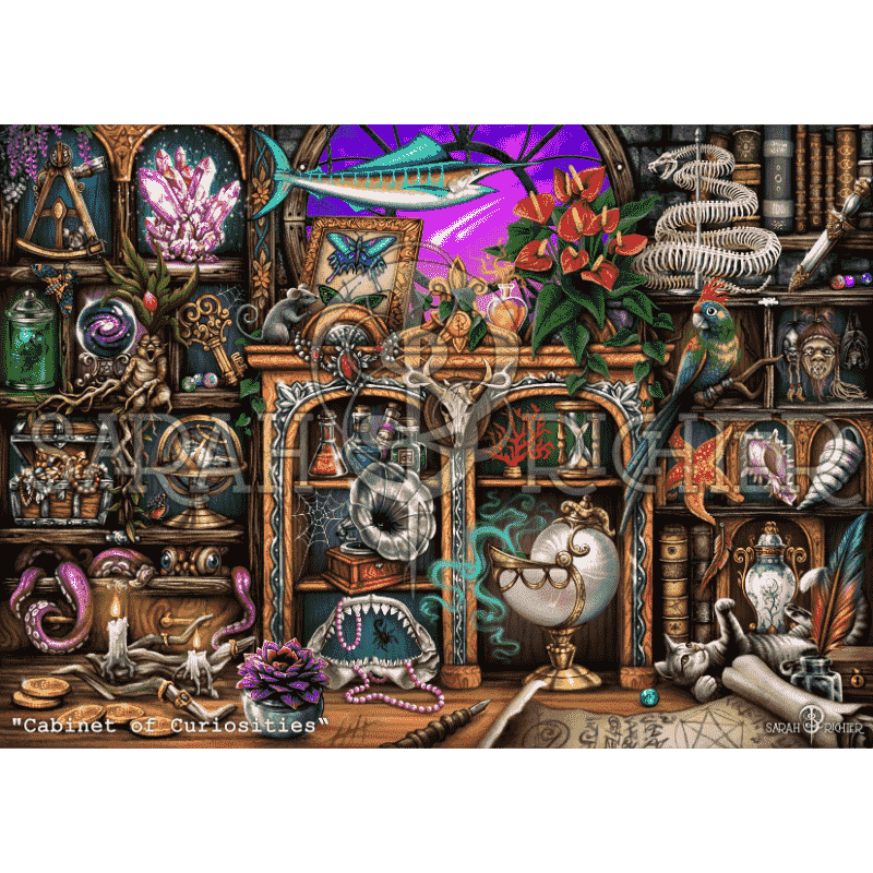 Cabinet of Curiosities - by Sarah Richter