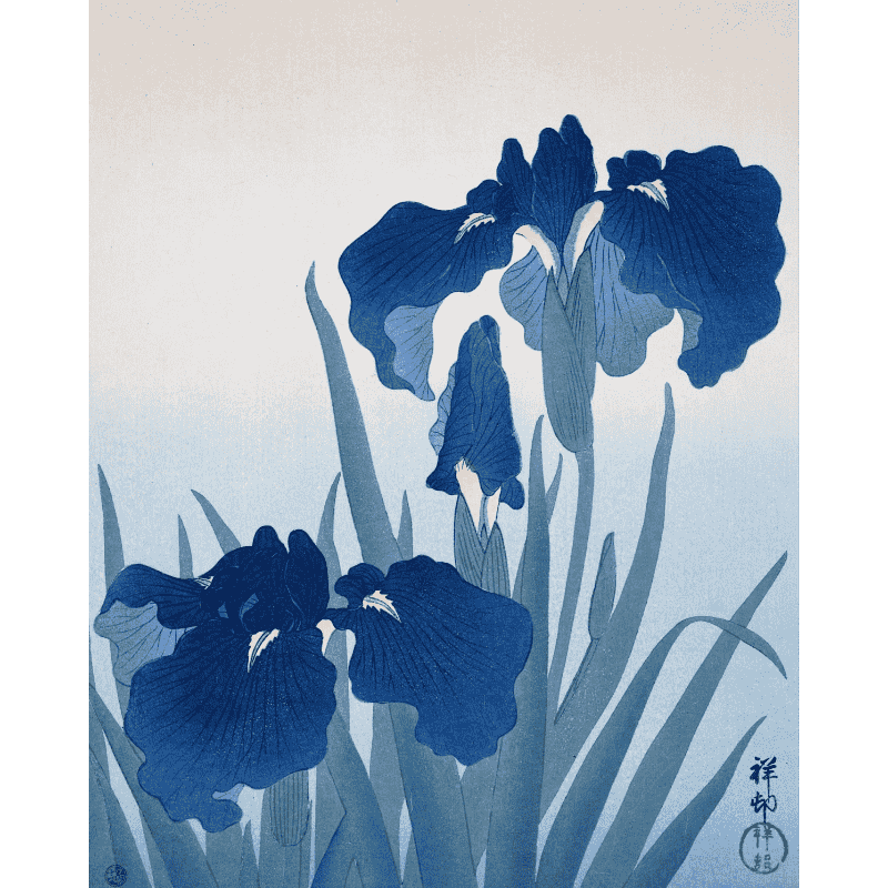 Irissen - Ohara Koson