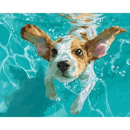 Onderwaterzwemmer- Schilderen op nummers