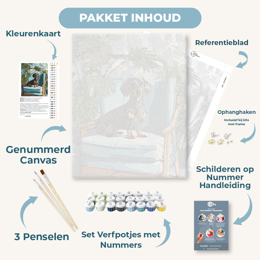 Een poserend teckeltje