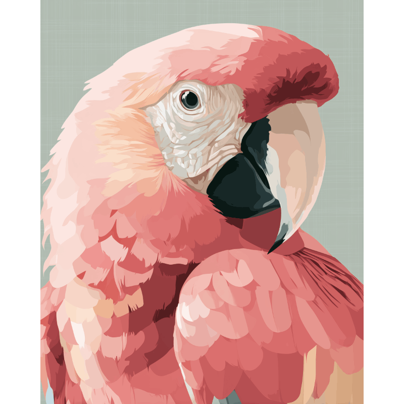 Roze ara- Schilderen op nummers