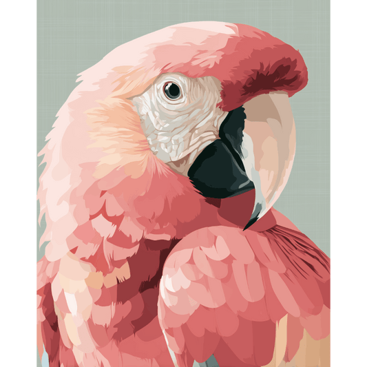 Roze ara- Schilderen op nummers