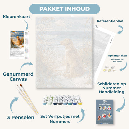 Wachtende labrador