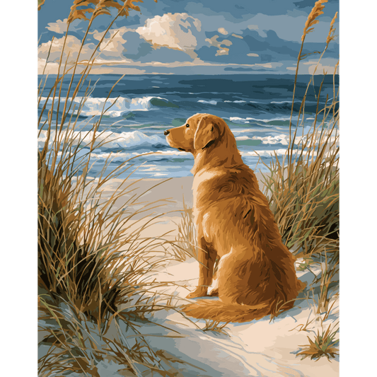 Wachtende labrador- Schilderen op nummers