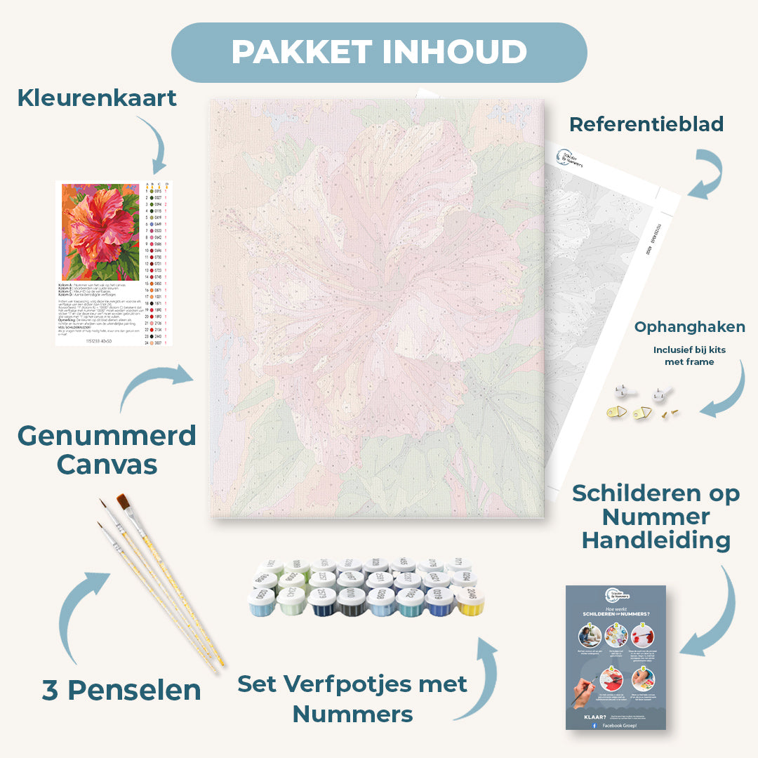 Kleurrijke hibiscus
