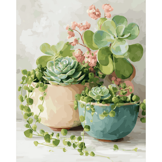 Lentesucculenten- Schilderen op nummers