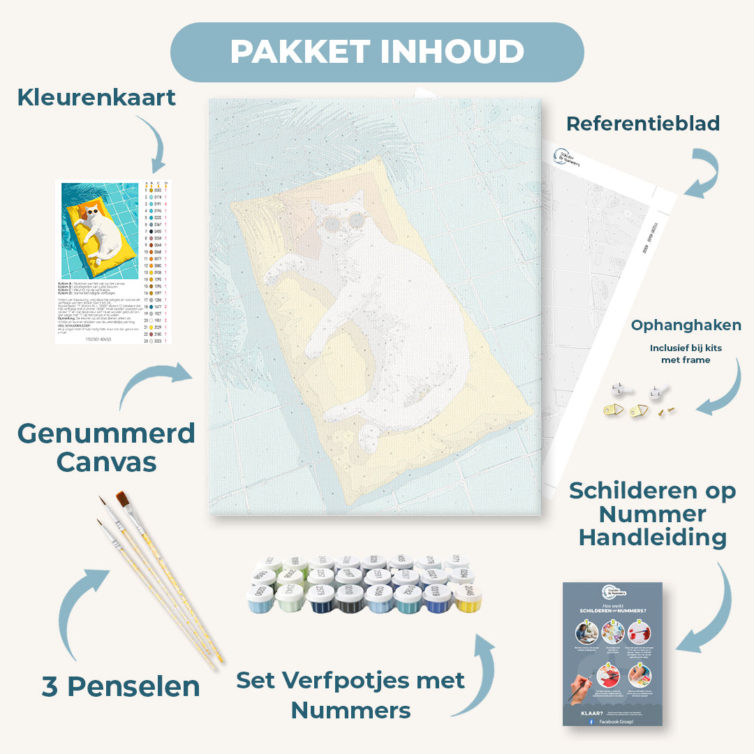 Kat bij het zwembad