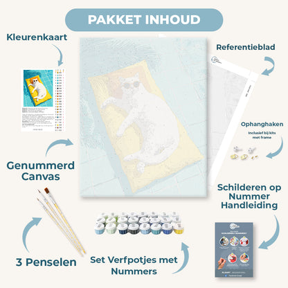 Kat bij het zwembad