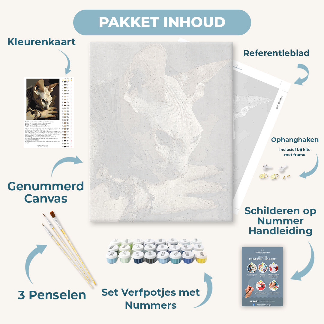 Nachtelijke band
