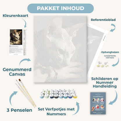 Nachtelijke band