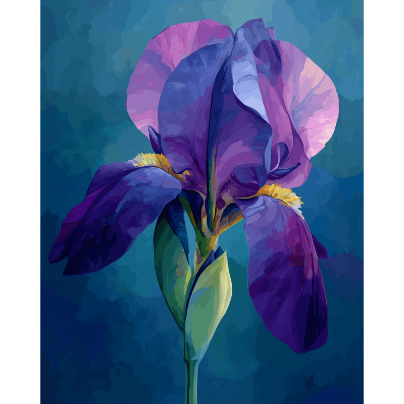 Fluwelen iris