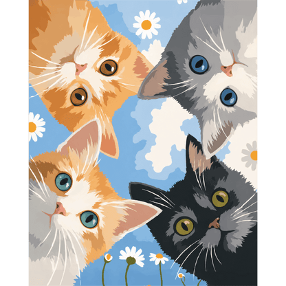 Kijkende kittens