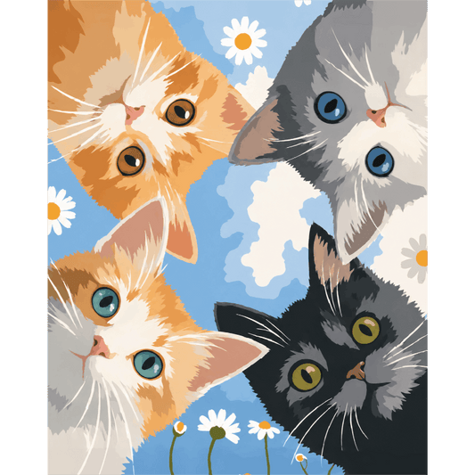 Kijkende kittens