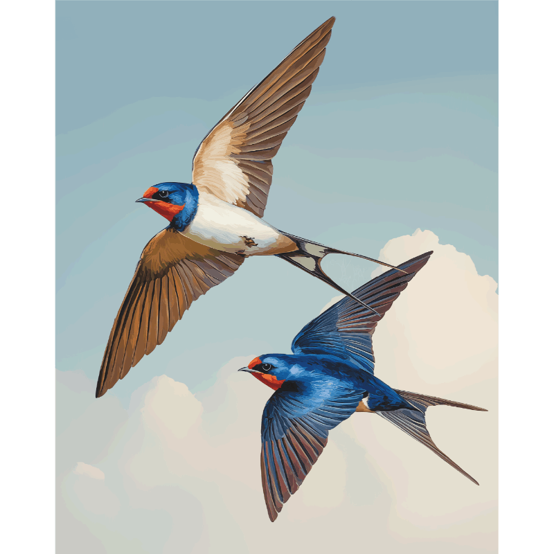 Liefdesvogels