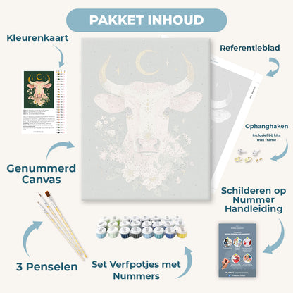 Stier