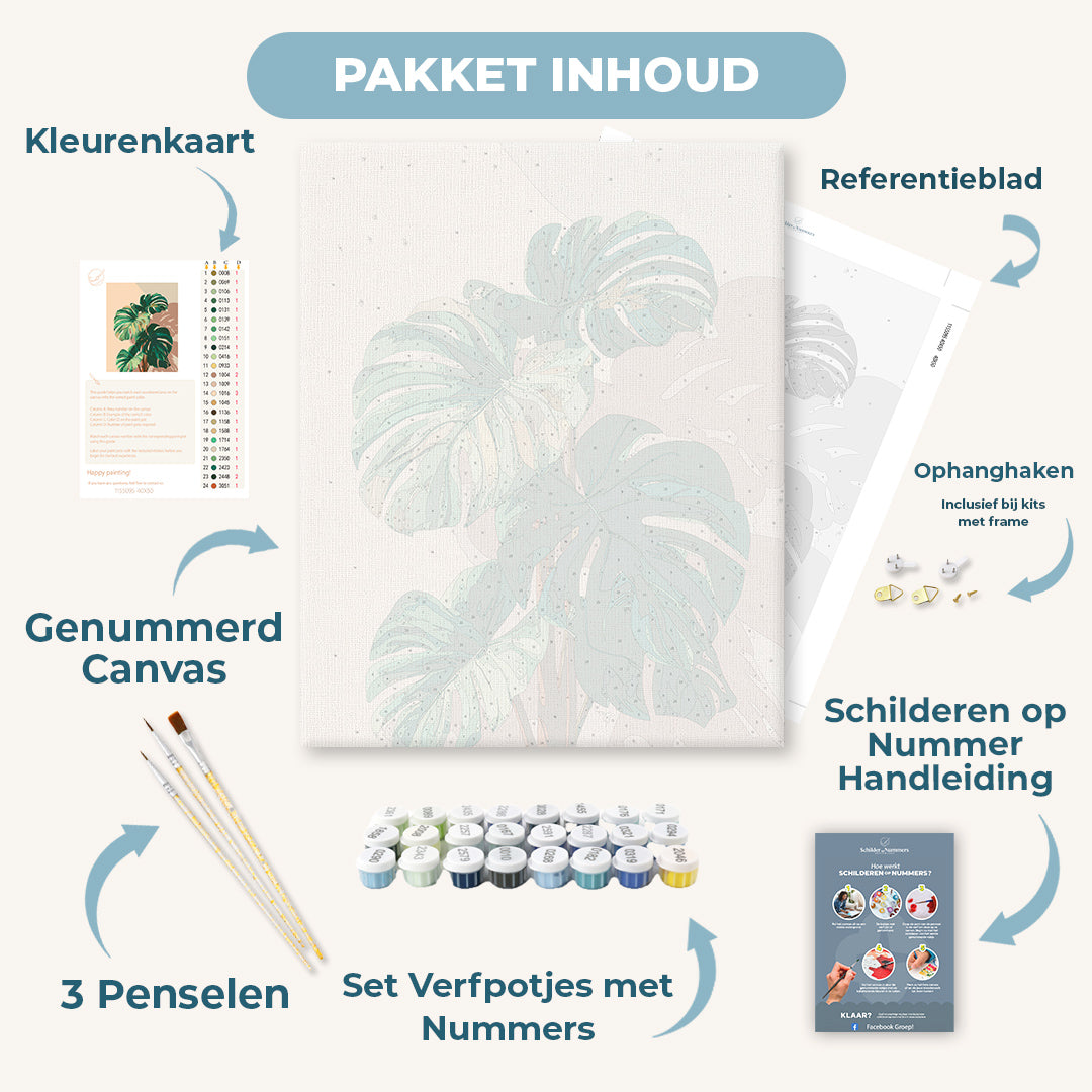 Monstera schaduwen