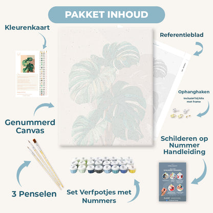Monstera schaduwen