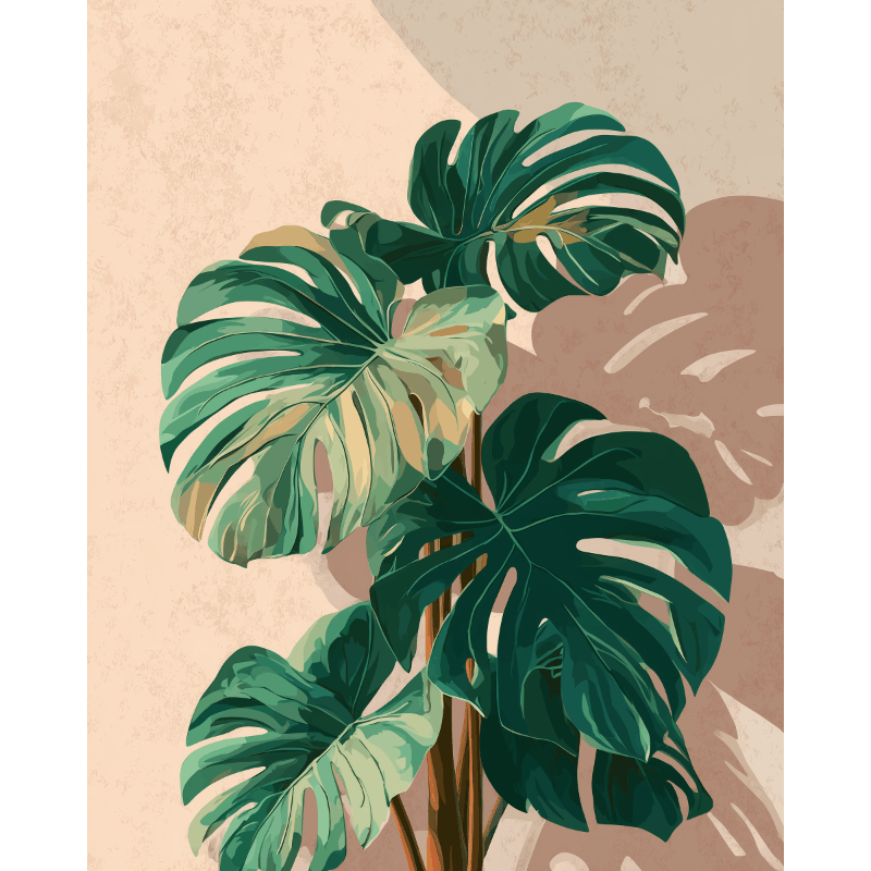Monstera schaduwen - Schilder Op Nummers