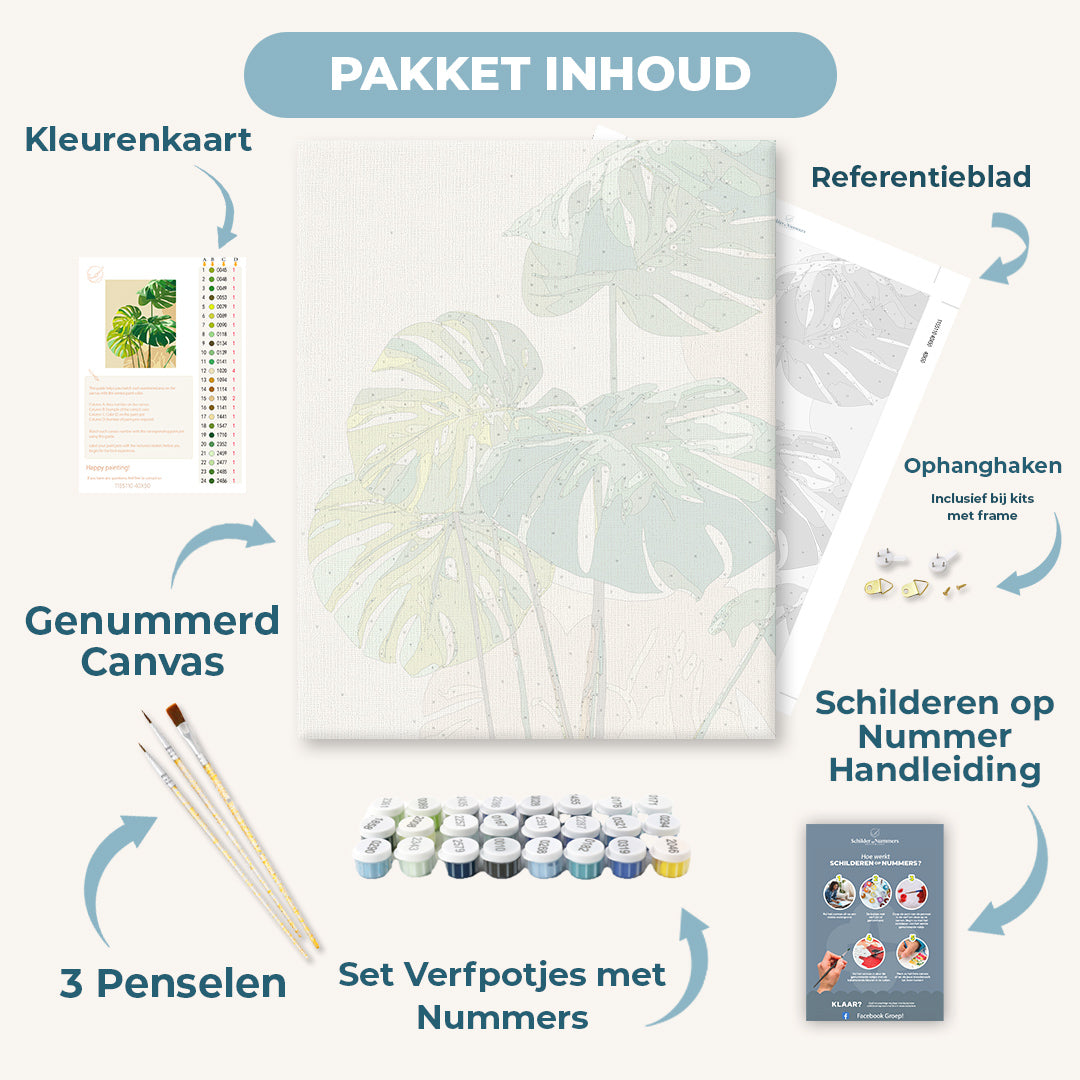 Zonbeschenen monstera