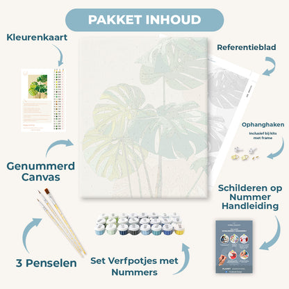 Zonbeschenen monstera