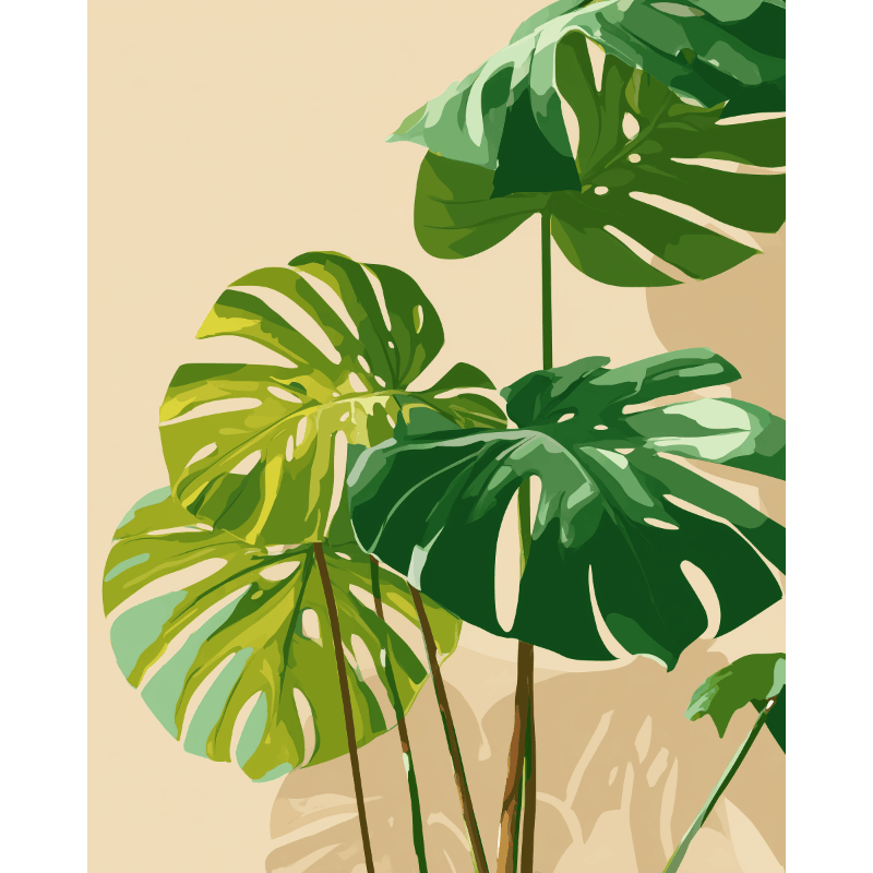 Zonbeschenen monstera