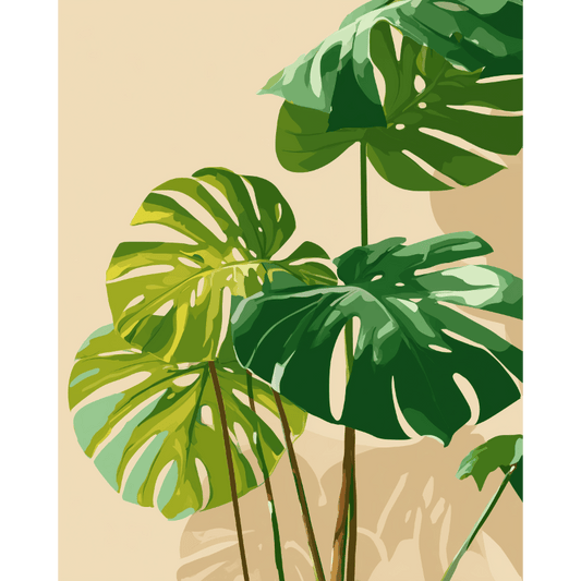 Zonbeschenen monstera
