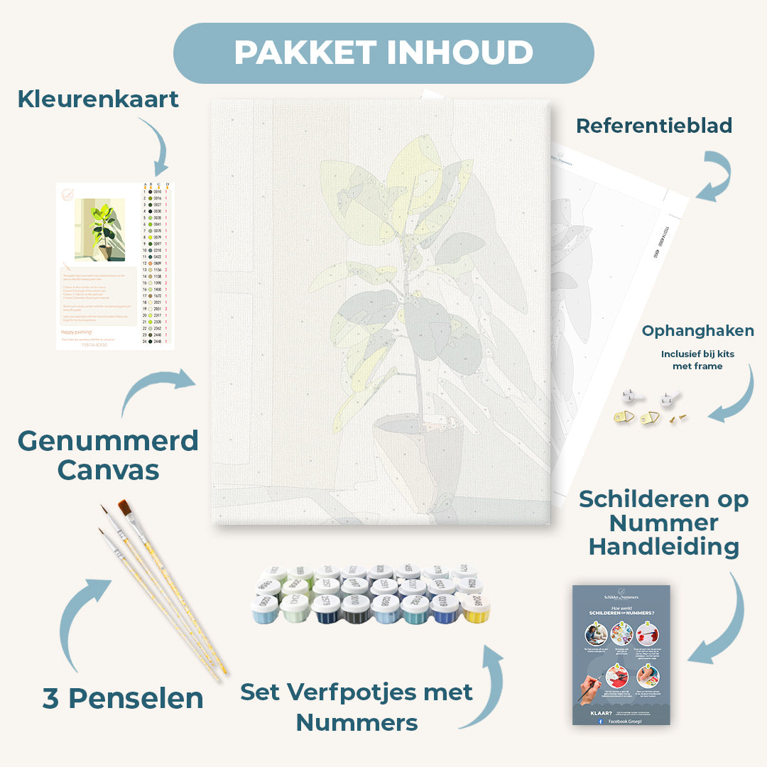 Zonbeschenen ficus