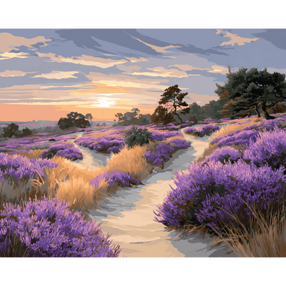 Nationaal park De Hoge Veluwe