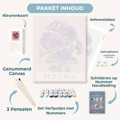 Petunia