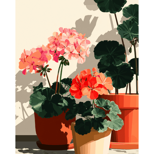Zonbeschenen geraniums