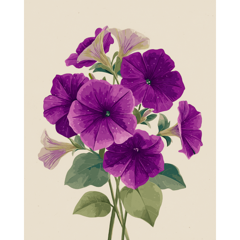 Fluwelen petunias