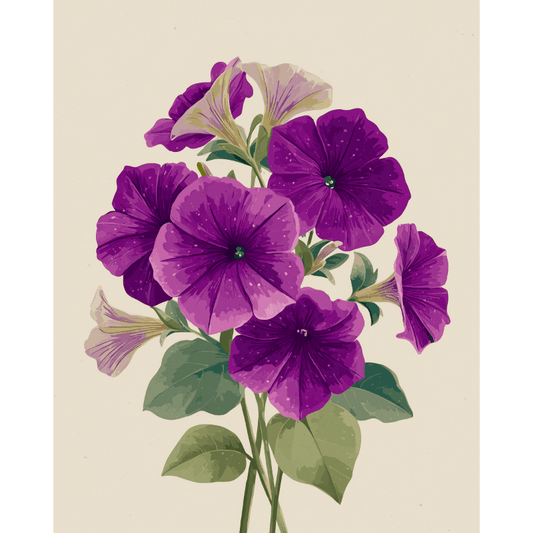 Fluwelen petunias