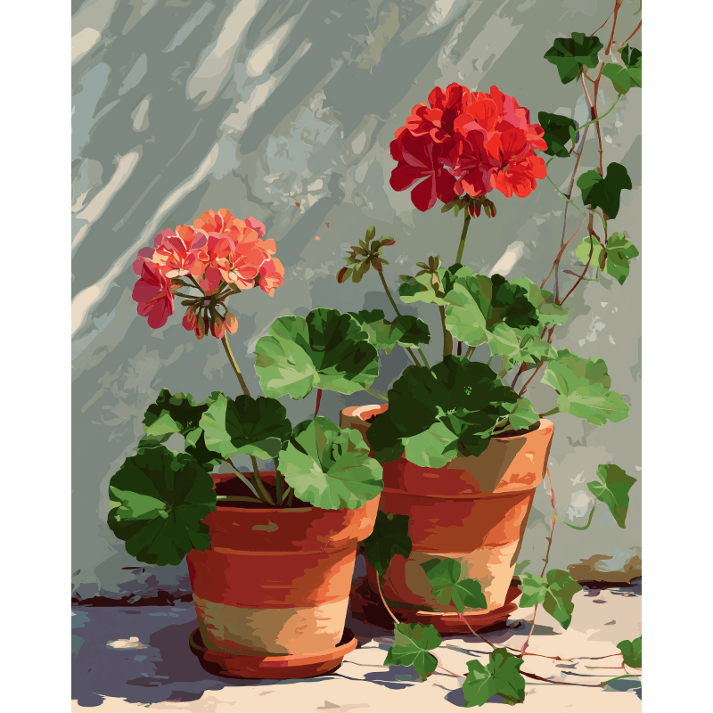 Geranium hoekje