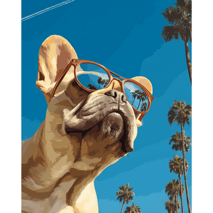 Franse buldog