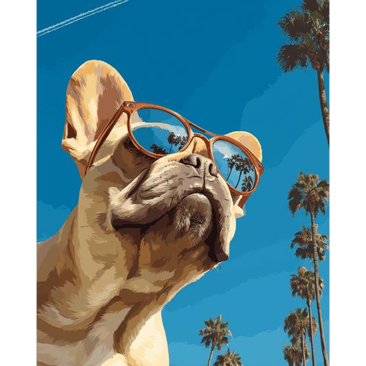 Franse buldog