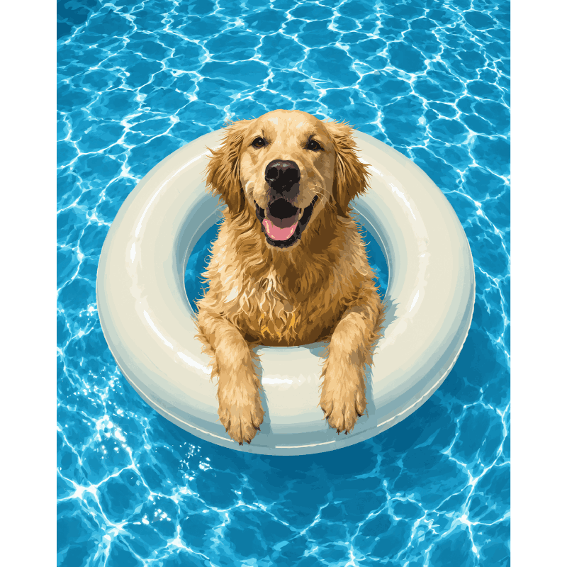 Zwemmende golden retriever