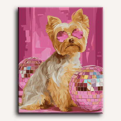 Studio 54 pup