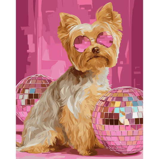 Studio 54 pup