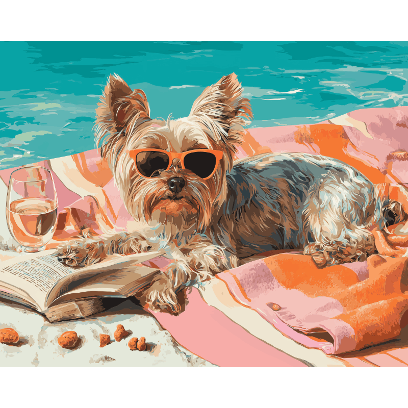 Yorkie aan zee
