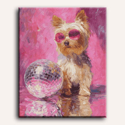 Disco lieveling