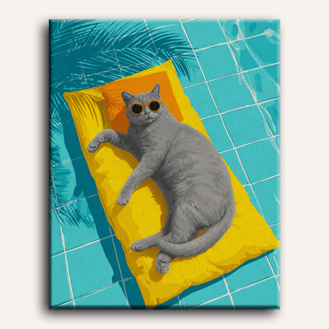 Grijze kat bij het zwembad