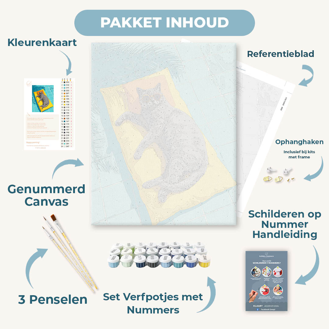 Grijze kat bij het zwembad