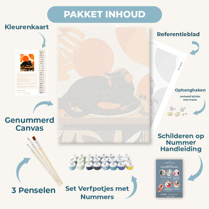 Een rustig platenspelertje