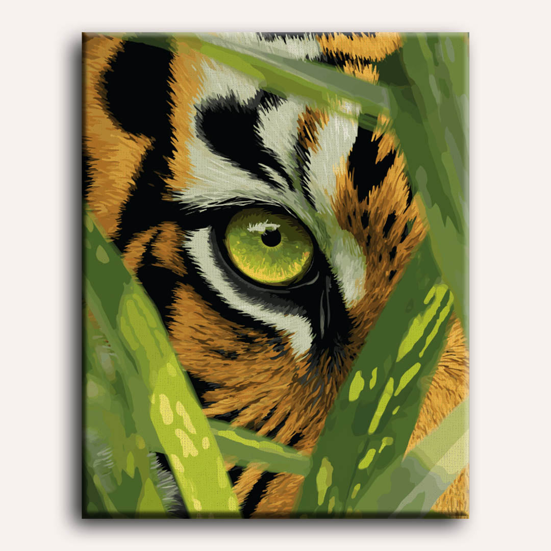 Oog van de tijger