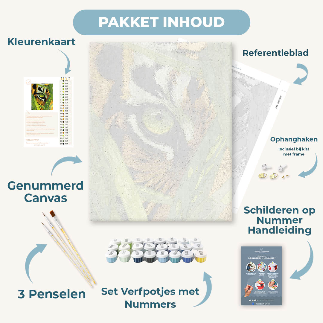 Oog van de tijger