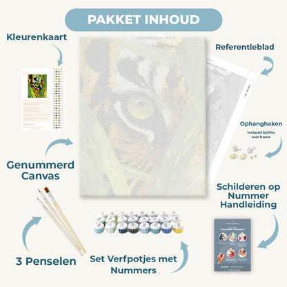 Oog van de tijger