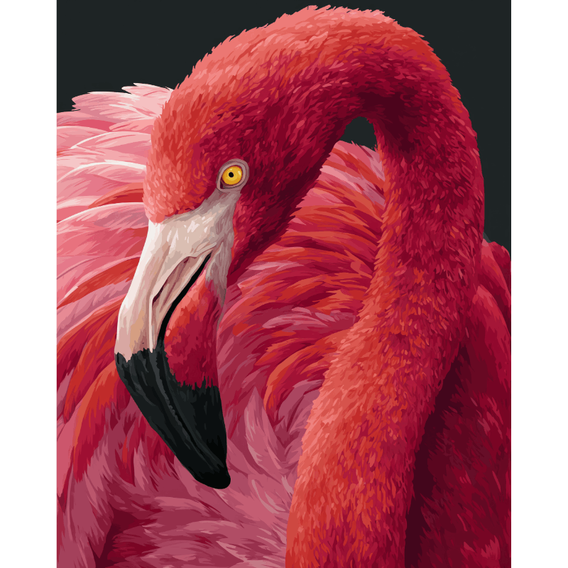 Roze portret - Schilder Op Nummers