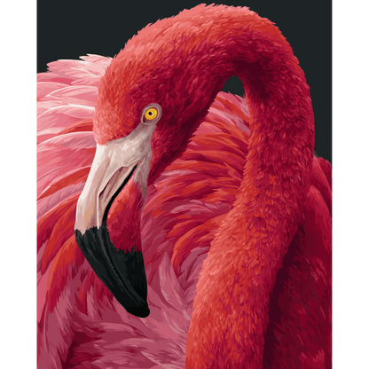 Roze portret - Schilder Op Nummers