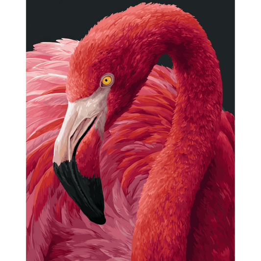 Roze portret - Schilder Op Nummers